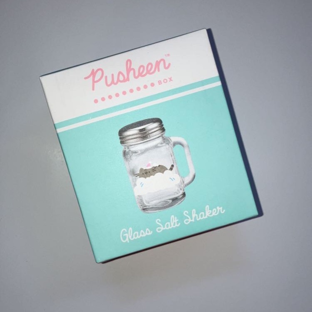 Pusheen Salt Shaker